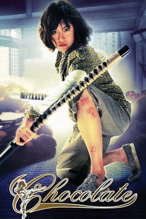 Chocolate (2008) Hindi Dual Audio | Hindi Dubbed Movie BluRay 300MB