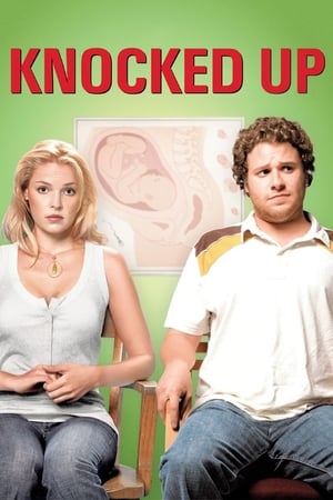 Knocked Up (2007) Hindi Dual Audio | Hindi Dubbed Movie BluRay 350MB