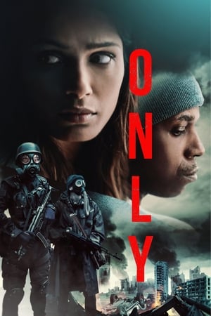 Only 2019 Hindi Dual Audio | Hindi Dubbed Movie Web-DL 300MB